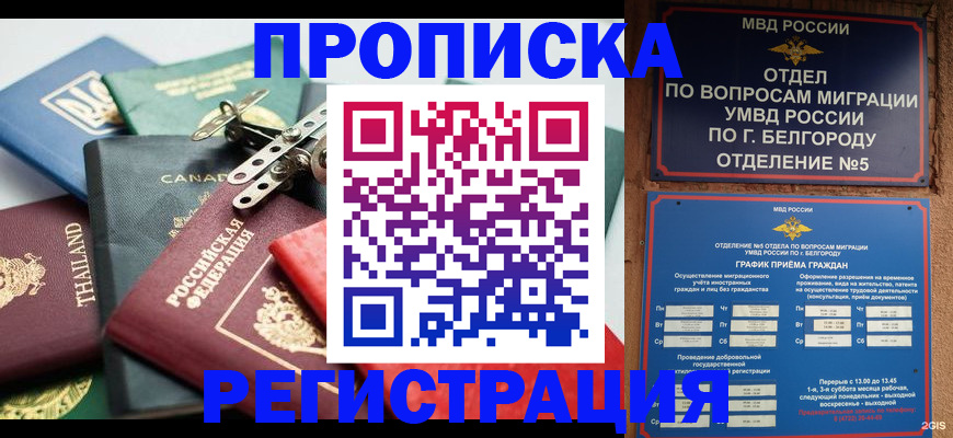 временная регистрация недорого в Болотном